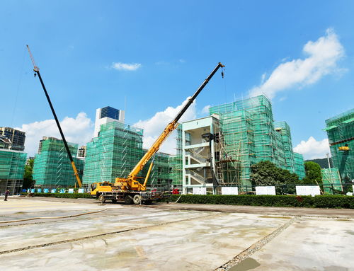 明珠小學(xué)改擴(kuò)建工程有序推進(jìn)，景觀工程為校園增添新氣象